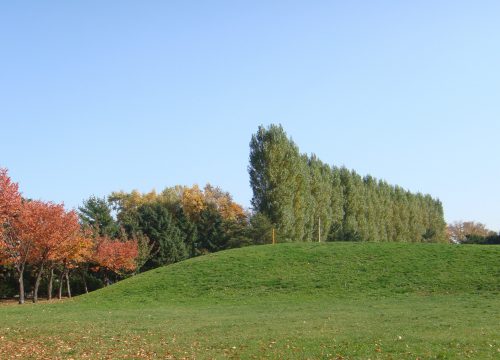 紅葉の公園